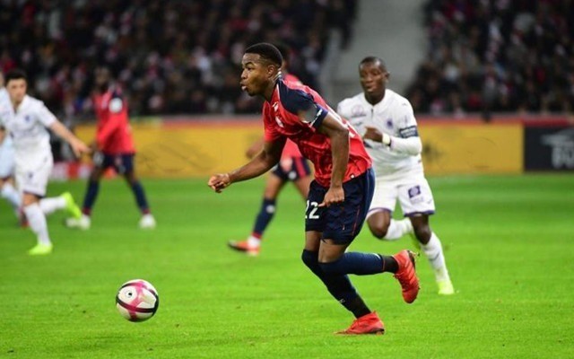 他们在场上 他们在场上