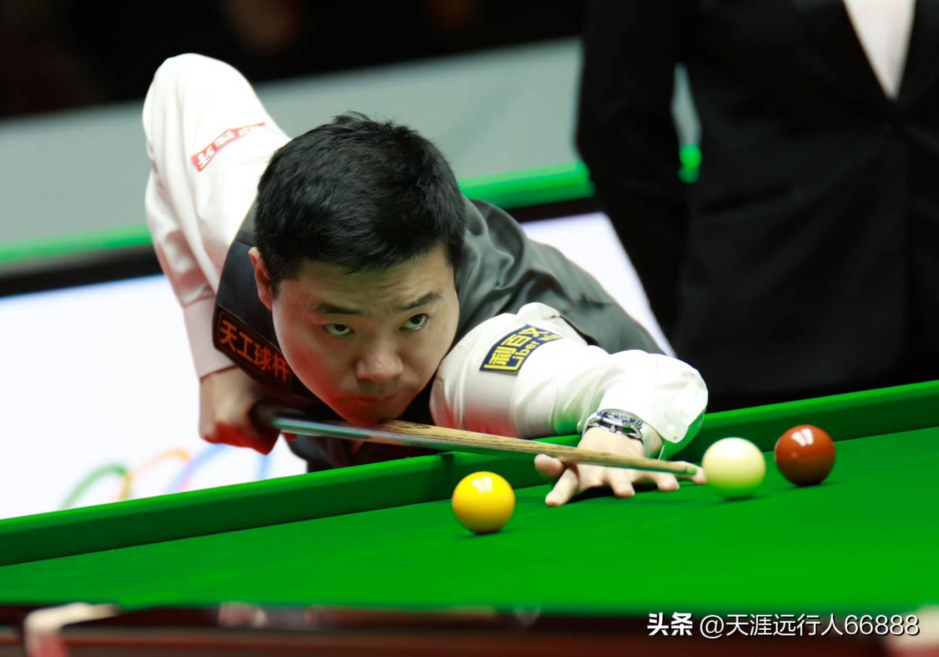 们的第二生 们的第二生