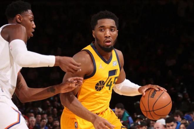 术多样性 术多样性